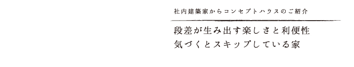 段差が生み出すラウンジや収納楽しさと利便性を兼ね備えた気づくとスキップしている家